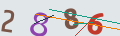 verifycode